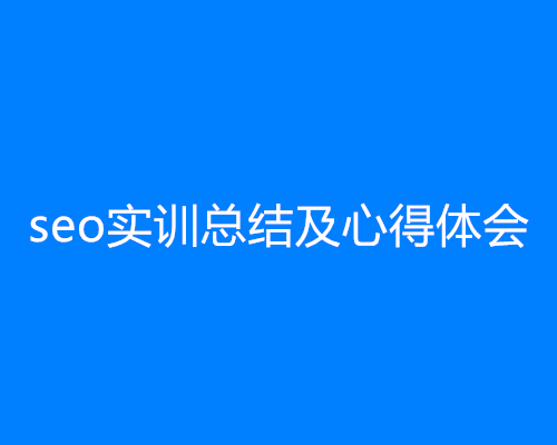 seo实训总结及心得体会