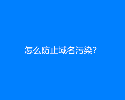 怎么防止域名污染？