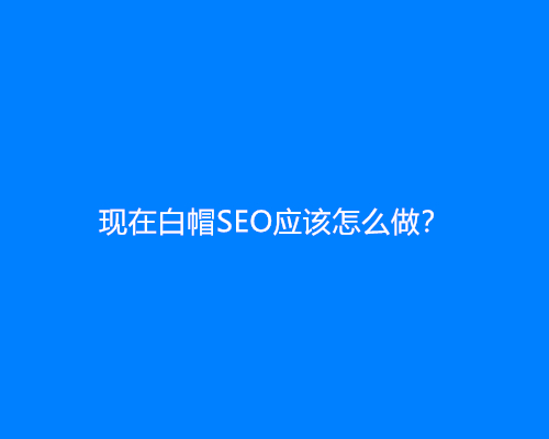 现在白帽SEO应该怎么做？白帽seo新手怎么做？