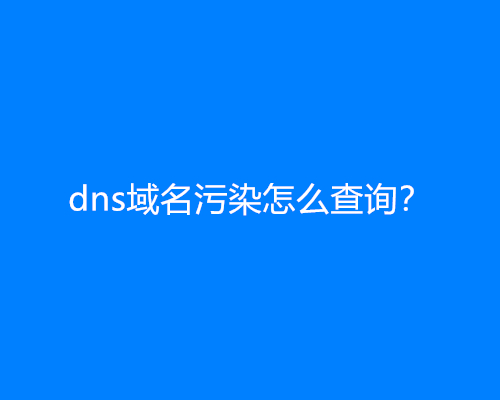 dns域名污染怎么查询？