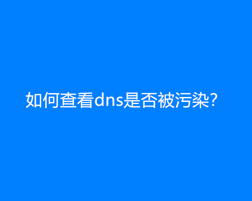 如何查看dns是否被污染？