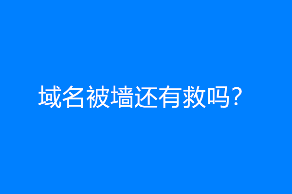 域名被墙还有救吗？
