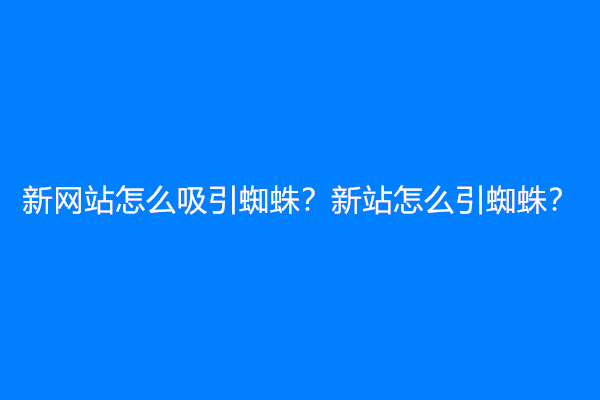 新网站怎么吸引蜘蛛？