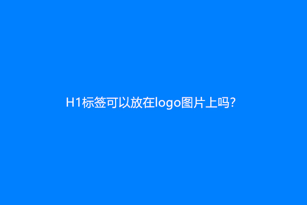 H1标签可以放在logo图片上吗？