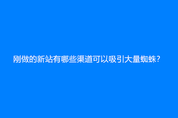 刚做的新站有哪些渠道可以吸引大量蜘蛛？