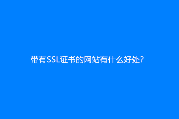 带有SSL证书的网站有什么好处？
