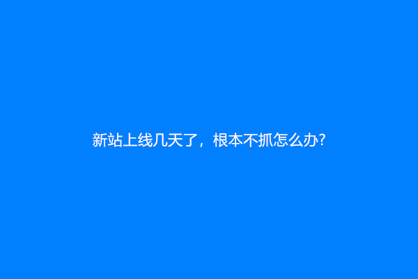 新站上线几天了，根本不抓怎么办?