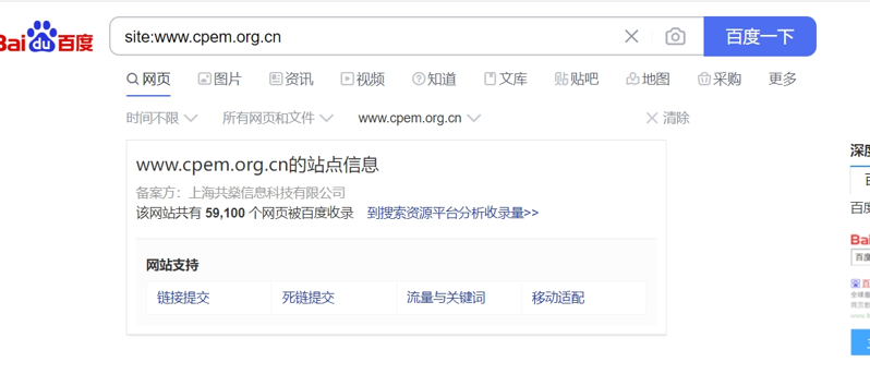 网站被限制索引后应该怎么调整？